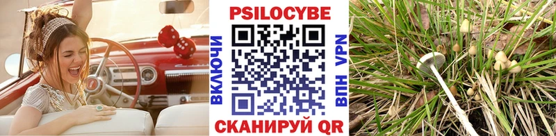 Галлюциногенные грибы Cubensis что такое Николаевск-на-Амуре